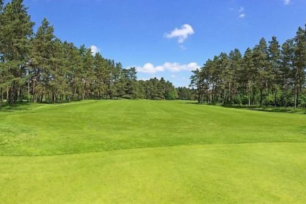 A lush green golf course surrounded by tall trees under a clear blue sky.
